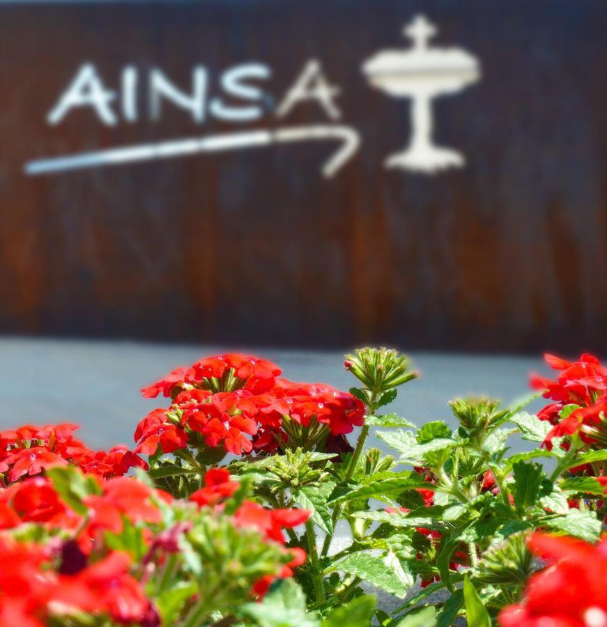 Guest House Ainsa Pirineos Exterior photo