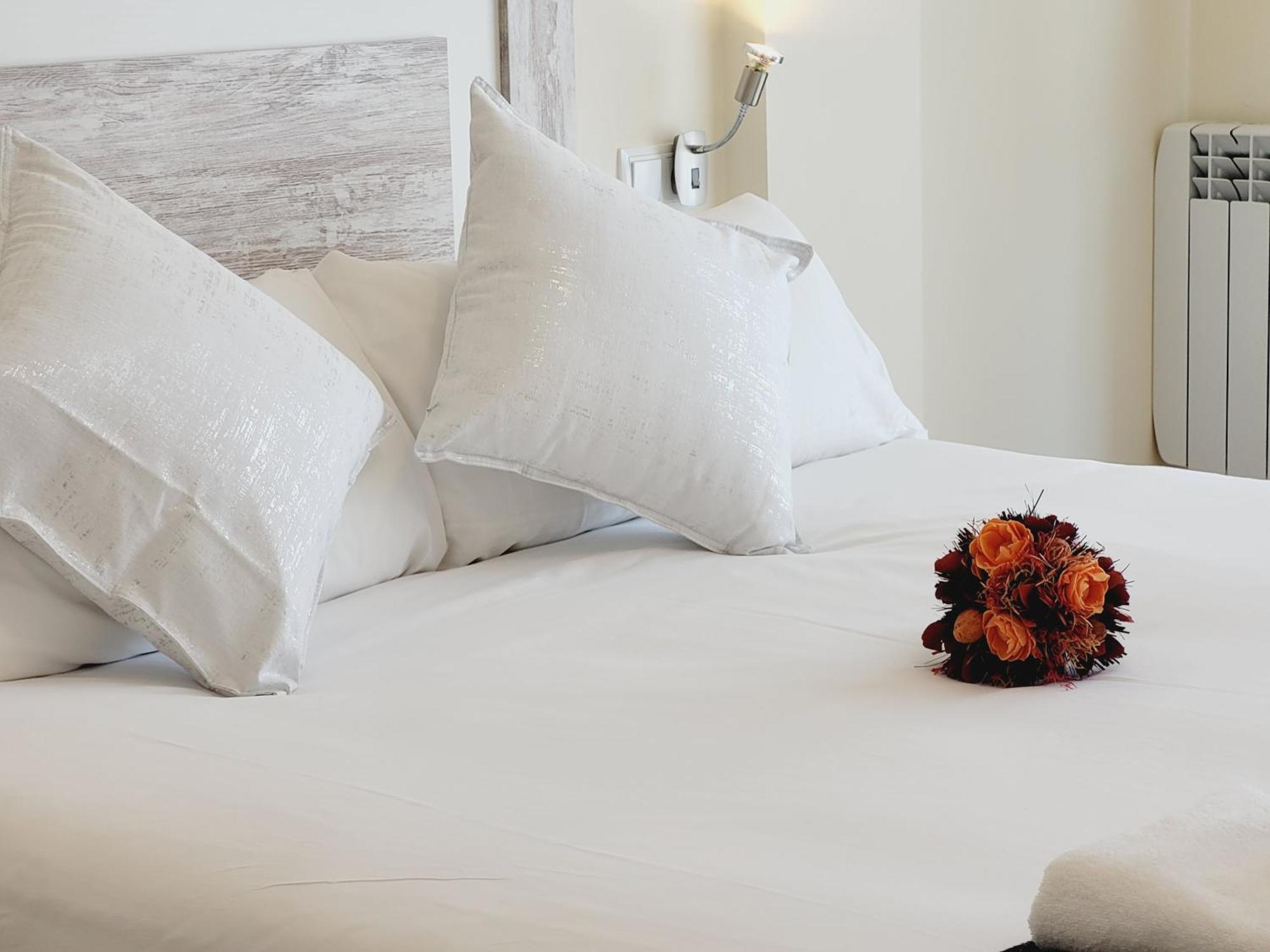Guest House Ainsa Pirineos Room photo